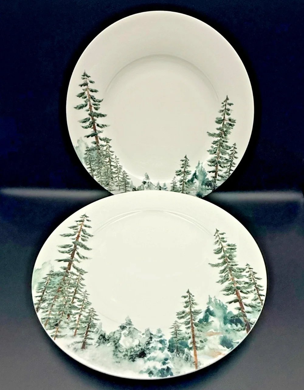 Mikasa Bone China Watercolor Forest Christmas Pine Tree 11